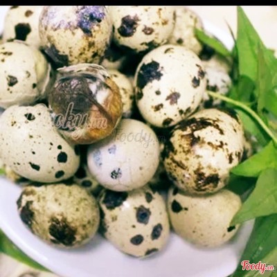 Cút lộn luộc-10 trứng