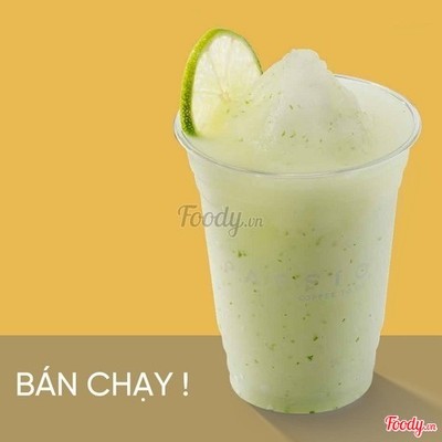 Chanh Tuyết (Size M)
