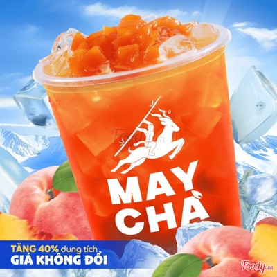 Trà Đào Dầm XL