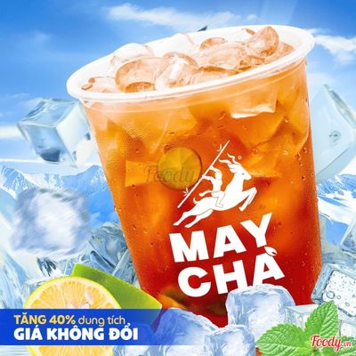 Hồng Trà Tắc XL