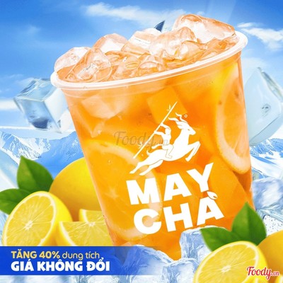 Hồng Trà Chanh Vàng XL