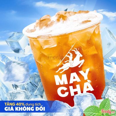 Hồng Trà Sủi Bọt XL