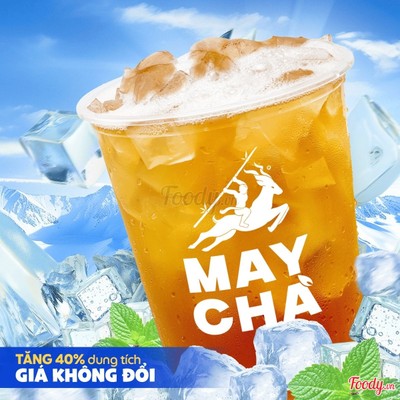 Lục Trà Sủi Bọt XL