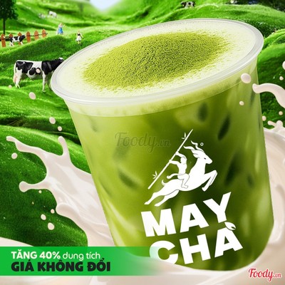 Matcha Latte L