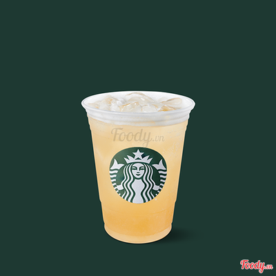 Iced Green Tea Lemonade