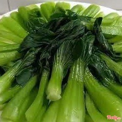 CẢI THÌA LUỘC