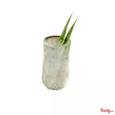 Nha đam hạt chia