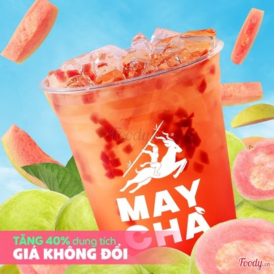 Trà Ổi Hồng XL