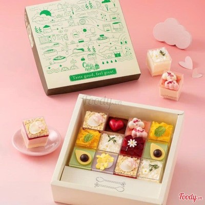 Hộp Sweetbox Signature Green (Xanh) 12