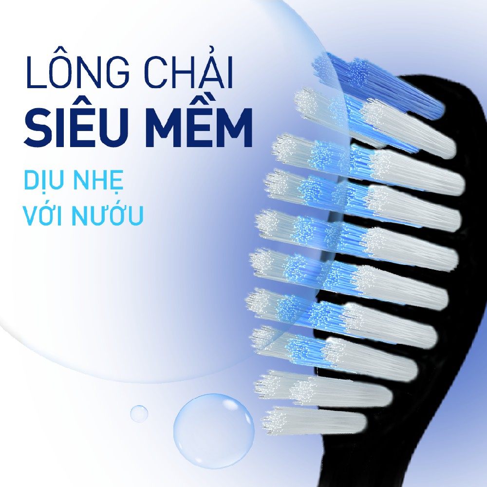 Bộ 2 đầu bàn chải điện P/S (Thay đầu bàn chải mỗi 3 tháng)