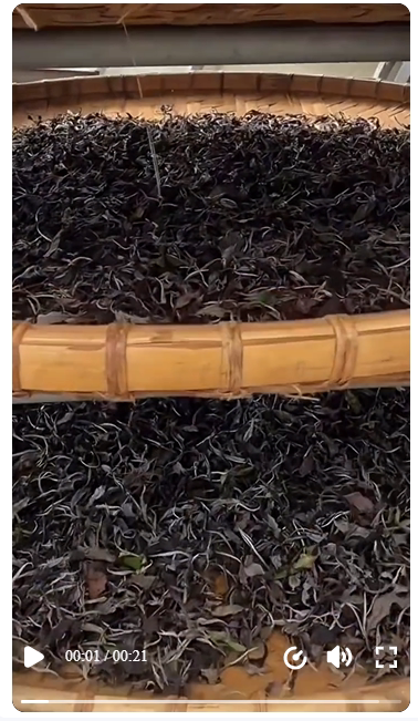 vn 11134141 7ra0g majf5gimisw134