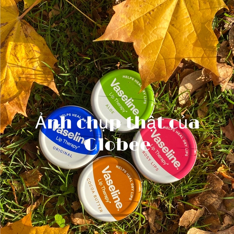 [BILL ANH] Son dưỡng môi Vaseline Lip Therapy (Rosy Hoa hồng, Aloe Lô hội, Cocoa Bơ Cacao, Original, Tropical]