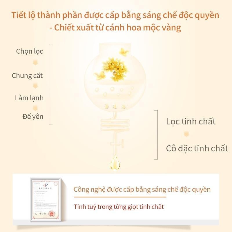 Mask Family mặt nạ dưỡng mắt làm tan bọng mắt làm mờ nếp nhăn quầng thâm mắt lọ 70ml (40 miếng)