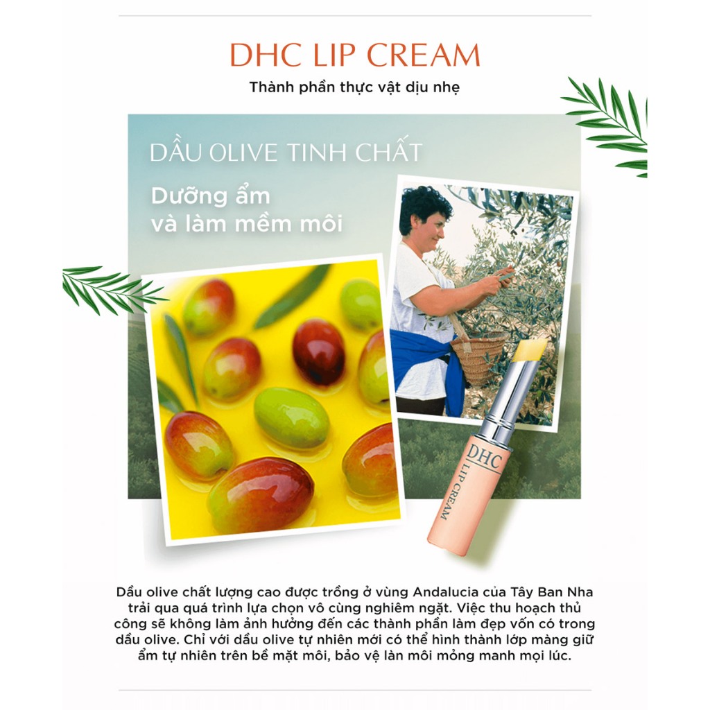 Son Dưỡng Môi DHC Không Màu Cấp Ẩm, Làm Mềm Môi Lip Cream, Hỗ Trợ Giảm Thâm Môi 1.5g