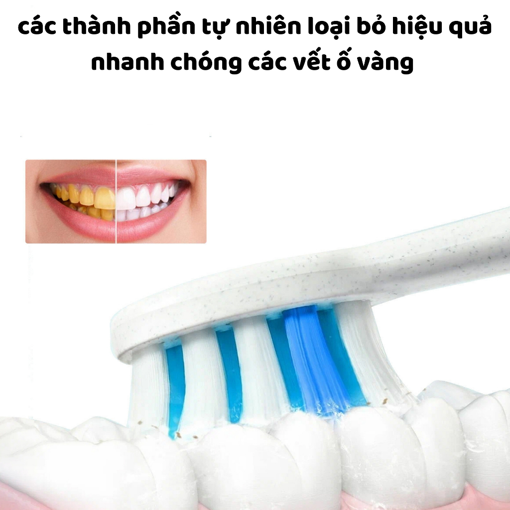 Kem đánh răng YAYASHI Sp-4 làm trắng răng, cải thiện vết ố vàng và giúp hơi thở thơm mát