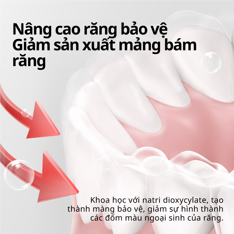 Kem Đánh Trắng Răng Tự Nhiên SP4 YAYASHI Hương Thơm Mát, Kem Đánh Răng Khử Ổ Vàng, Sạch Mảng Bám Dứt Điểm Hôi Miệng