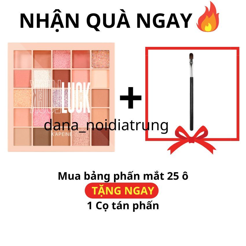 Phấn mắt 25 màu makeup tiện lợi bảng mắt nhiều màu trang điểm nhiều tone bảng phấn mắt nội địa trung DANA