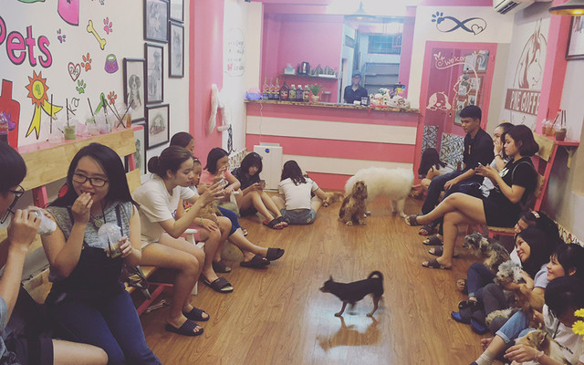 PNE Coffee - Cafe Thú Cưng