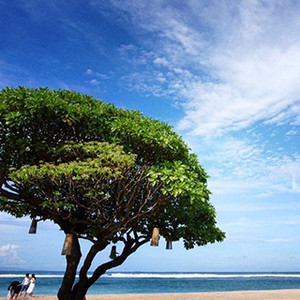Lãng mạn, gần với thiên nhiên và cực sang chảnh tại Đảo Bali cùng cô nàng 8x