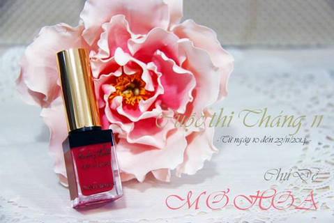 Tổng hợp review chủ đề Mơ hoa Tháng 11- 2014