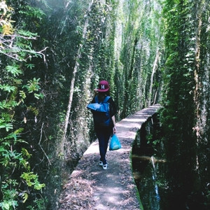 Điểm phượt "hòa mình vào thiên nhiên" cách Sài Gòn 100km