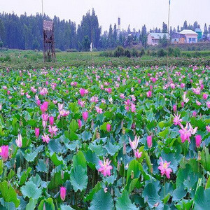 Với 500k bạn cũng có thể đi du lịch 