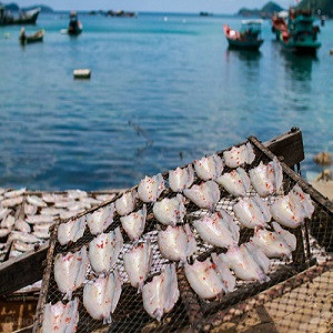 Vẻ đẹp hoang sơ của Kiên Giang
