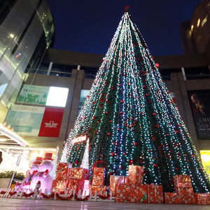 Sắc màu Noel ở "thành phố ánh sáng"