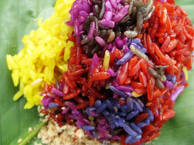 (Du lịch 2-9) Đi Sapa ngắm ruộng bậc thang, ăn cá hồi