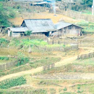 6 điều cần lưu ý khi đi du lịch 2 thiên đường vùng cao: Đà Lạt - Sapa