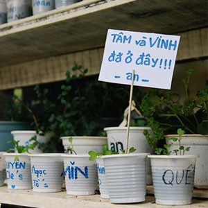 Tết này lên Đà Lạt ghé quán cà phê rau “độc lạ”