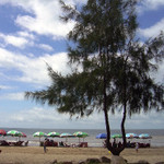 (Du lịch) Nhật kí du lịch: Cần Giờ - Chìm đắm trong hải sản tươi sống