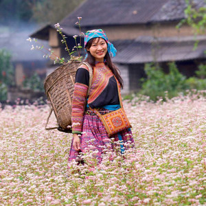 10 điều không nên bỏ lỡ khi du lịch bụi Hà Giang