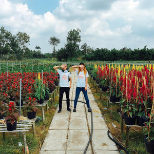 (ĐT) Lạc vào Làng Hoa Sa Đéc tìm sắc xuân lan man rợp khung trời
