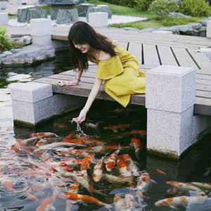 Tim rối bời trước 5 HỒ CÁ KOI đẹp mê hồn ngay Sài Gòn 