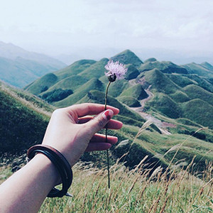 (QN) Đừng lỡ hẹn với Bình Liêu vào một mùa cỏ lau đẹp nao lòng như này!