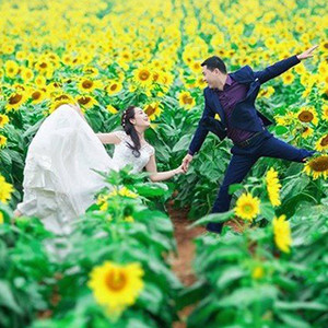 Tháng 12 đến Nghệ An tham gia lễ hội hoa hướng dương đầu tiên ở Việt Nam