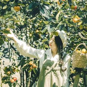 Xuất hiện VƯỜN HỒNG CỔ TÍCH đẹp xốn xang con tim bánh bèo Đà Lạt