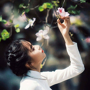 Đi tìm lãng mạn ở 5 nơi hoa ban nở  trắng trời tháng 3