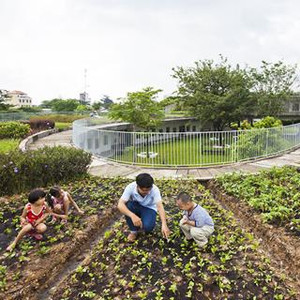 Cận cảnh trường mầm non ở Biên Hòa lọt top 30 công trình đẹp Thế Giới