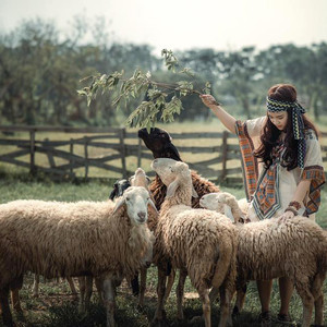 (Hà Nội) Sửng sốt với trend "chụp ảnh cùng bầy cừu" ngay Hà Nội