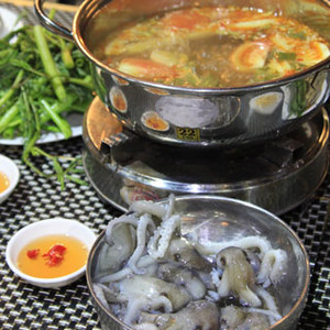 Bạch tuộc sống nhúng lẩu và hải sản tươi siêu ngon cực chất lượng tại quận 7