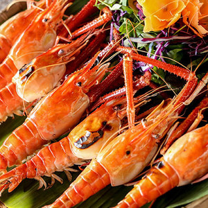 Lạc lối ở khu câu cá mới toanh nằm ở Bình Chánh