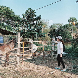 Càn quét cho hết 6 điểm vui chơi thú vị nhất Tiền Giang