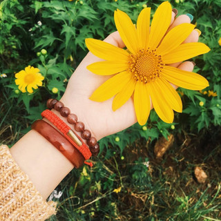 Về Gia Lai ngắm hoa dã quỳ dưới chân núi lửa Chư Đăng Ya