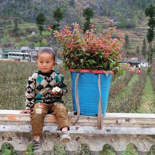 Những địa điểm đẹp nhất nhì Hà Giang mà dân mê du lịch ai cũng nên ghé qua một lần trong đời