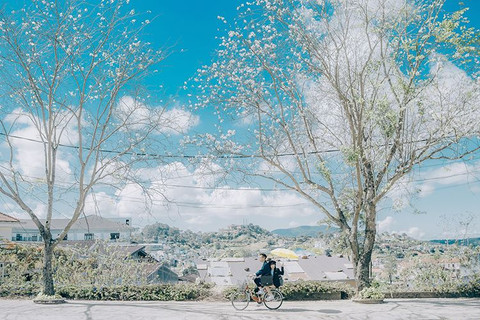 7 ĐIỀU NHẤT ĐỊNH PHẢI THỬ khi đến với Đà Lạt cùng người ấy