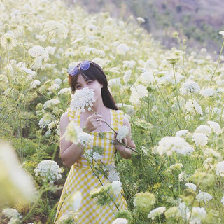 Xôn xao "CÁNH ĐỒNG HOA TRẮNG" đẹp lịm tim, sống ảo bao xuất sắc