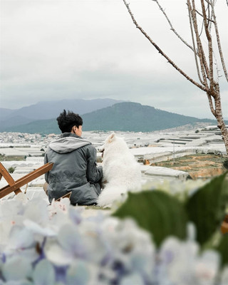 Top 5 quán CÀ PHÊ TẦM NHÌN TRÊN MÂY nhất định phải đến ở Đà Lạt