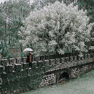 Phát hiện VẠN LÝ TRƯỜNG THÀNH phiên bản Đà Lạt lên hình đẹp như phim